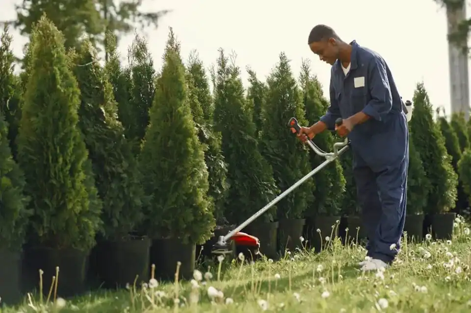 Landscapers
